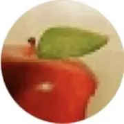 くりまつぼっくりの画像