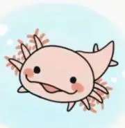 まめの画像