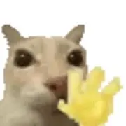 運子さんの画像