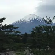 しほの画像