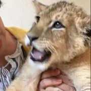 Naomiの画像