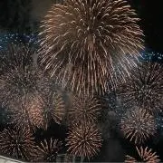 ささの画像