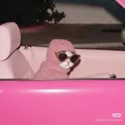 Yキューの画像