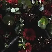 けーの画像