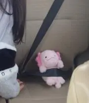 umi0131の画像