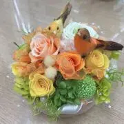 める【6/1～7 鹿児島発送お休み】の画像