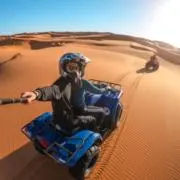わにの画像