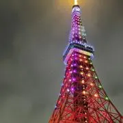 たかの画像