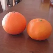めぇ