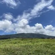 ROADの画像