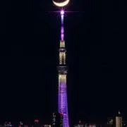 Ranの画像