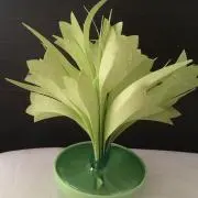 Ｄaamaru