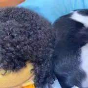 ko プロフィール必ず読んで下さい。の画像