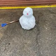 ゆうさんの画像