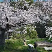 K.の画像