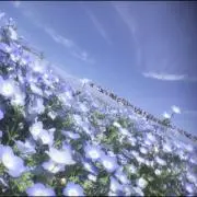 てっちゃんの画像