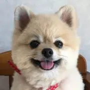 k_oの画像