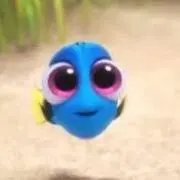 ベビドリの画像