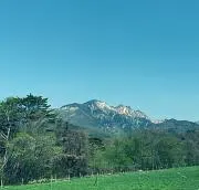 ばたふらい