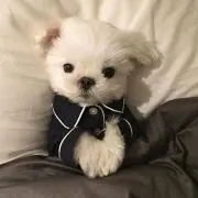 ♥