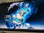 ヴィシャミの画像