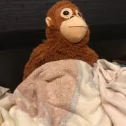 adrian出品停止してます