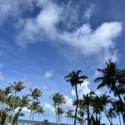 レベル10です(^-^)の画像