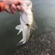 たつやの画像
