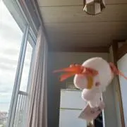 腑に落ちの画像