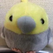 ぽっぽーの画像