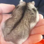 中村そん
