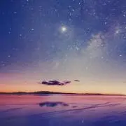 ミルクティーの画像