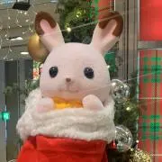 ゆめの画像