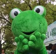 tocotocoの画像