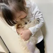 タッキーの画像