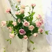 マダム