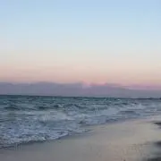 こんちわの画像