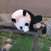 とさみの画像