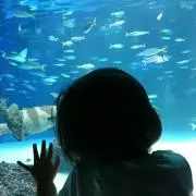 ナミのママ