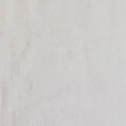 sakuraの画像