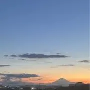 Yの画像