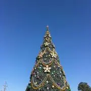 デセンスの画像