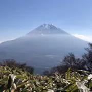 くられんす