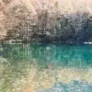 miyの画像