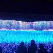 ☆あちこ☆プロフ読んでください♪