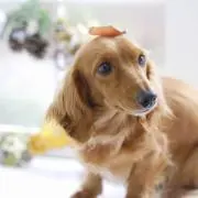 まるプロフ必読の画像