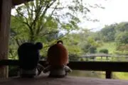 ヨハ玉