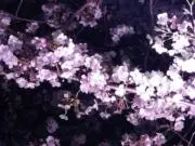 水無月