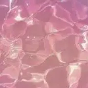 アンパンマングミの画像