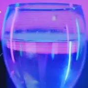 てんの画像